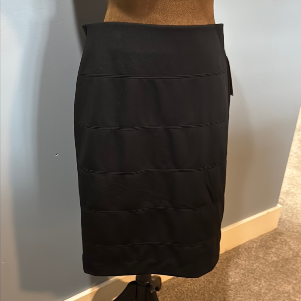 Elegant Black Women's Skirt
